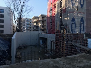 IMG_5690.jpg