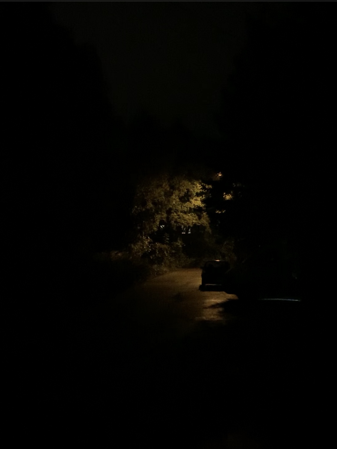 IMG_0603.jpeg