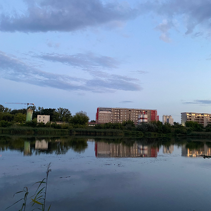 IMG_7917.jpeg